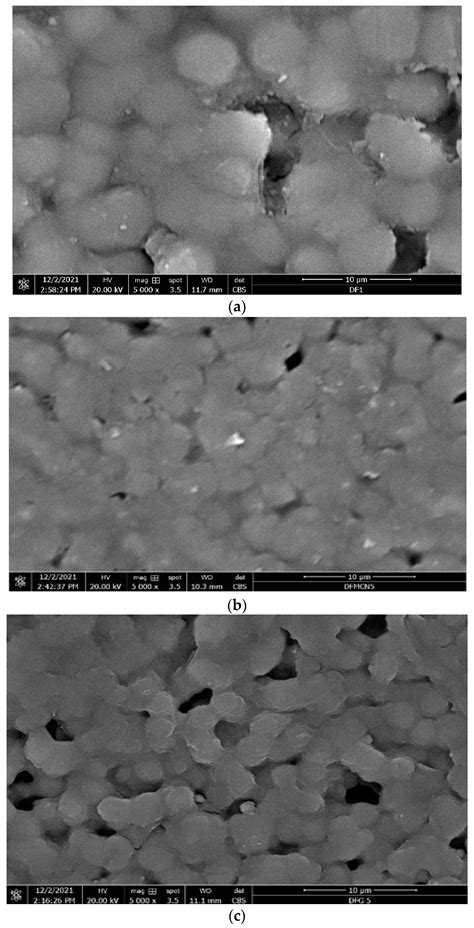 Polymers Free Full Text Effect Of The Surface Functionalization Of