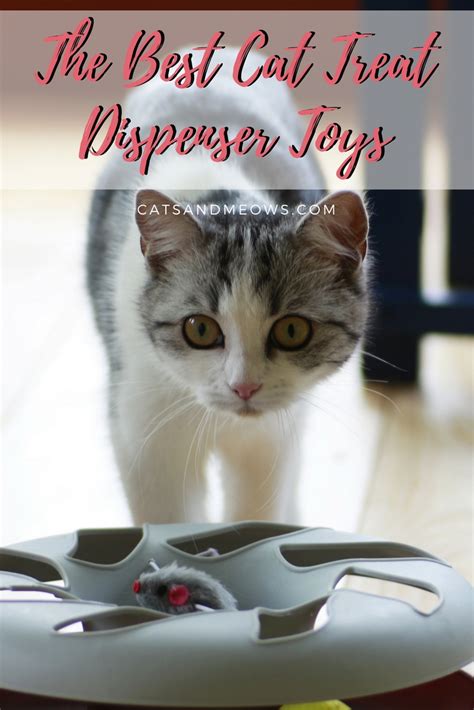 The Best Cat Treat Dispenser Toys Cats And Meows