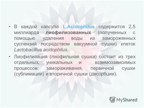 Презентация на тему: "L.Acidophilus Источник «дружественных» бактерий ...