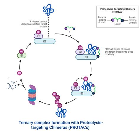 Drug Discovery With Recombinant Proteins Eurofins Calixar