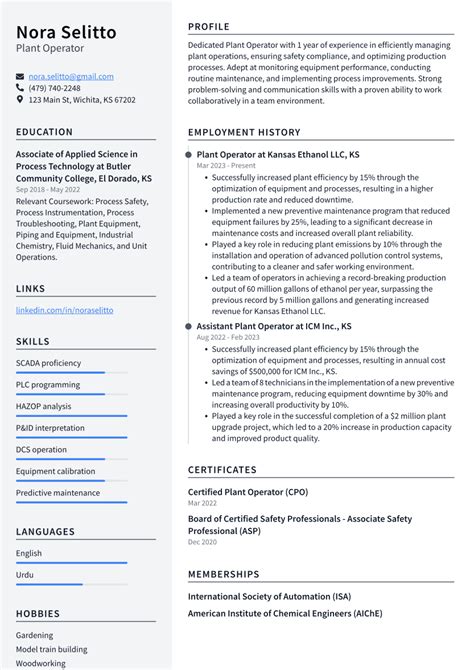 Top Plant Operator Resume Objective Examples Resumecat