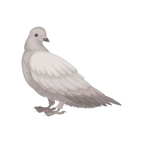 Feathered Feet Pigeon Vectors And Illustrations For Free Download Freepik