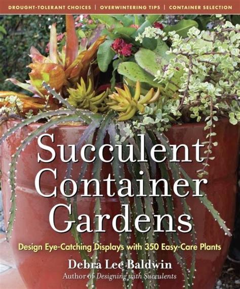 Succulent Container Gardens Design Eye Catching Displays With 350 Easy Care Plants