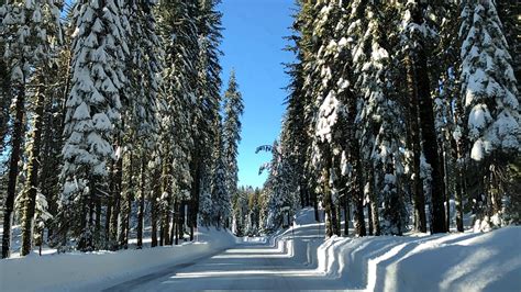 4th visit to Yosemite but first time seeing snow there 😱 ️🏞 (12/17/2021 ...