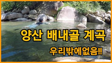 양산 배내골 계곡 여름휴가 Youtube