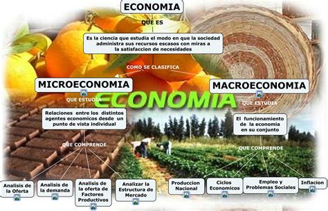 Economia Mapa Mental