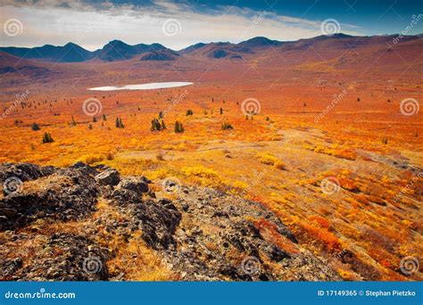 Alpine tundra stock image. Image of green, alpine, romance - 17149365