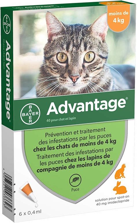 Les Meilleurs Anti Puces Et Anti Tiques Pour Chat Mister Chat