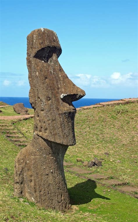 Statue Di Moai Sull Isola Di Pasqua Immagine Stock Immagine Di Antico