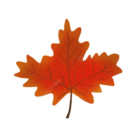 Red Maple Leaf Illustration Red Leaf Maple Leaf Leaf Png Transparent