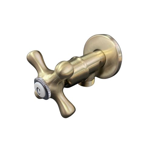 Premium Gbb059 Brushed Gold Classic Angle Valve Trendy Taps