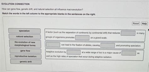 Solved EVOLUTION CONNECTION How Can Gene Flow Genetic Chegg