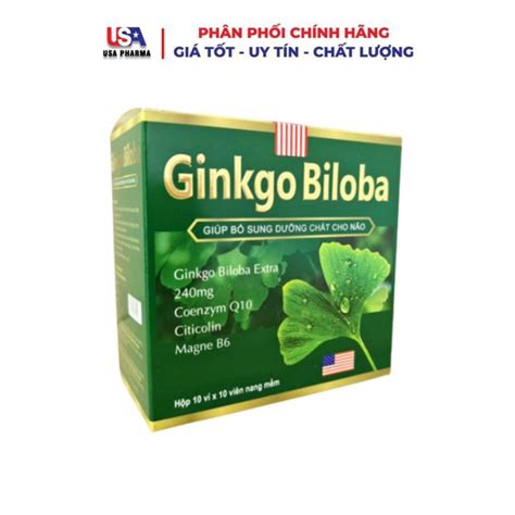 Active Blood Nourishing Ginkgo Biloba 240mg Helps Replenish Nutrients