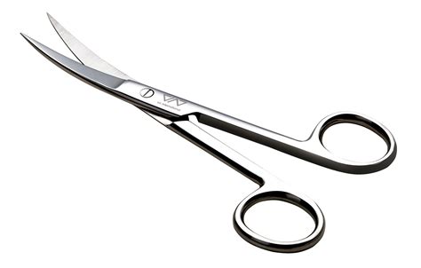 Short Curved Scissors - Polished - Aquarium Connection