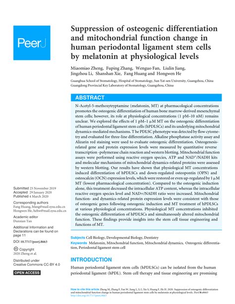 Pdf Suppression Of Osteogenic Differentiation And Mitochondrial