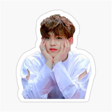 Seventeen Stickers For Sale Seventeen Stickers Seventeen Scoups