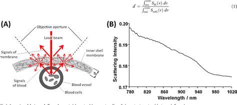 Pdf Sexing Of Chicken Eggs By Fluorescence And Raman Spectroscopy Through The Shell Membrane