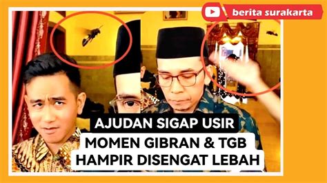 Momen Lucu Gibran TGB Hampir Aja Disengat Lebah Untung Ajudan