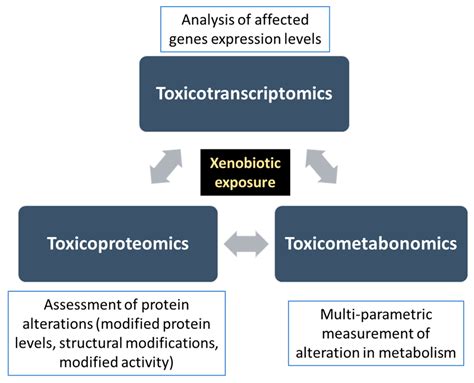 Processes Free Full Text Current Trends In Toxicity Assessment Of