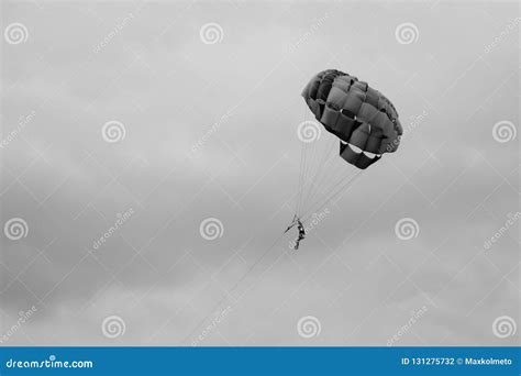 Voo Do Skydiver Um Fundo Preto E Branco Do Paraquedas Foto De Stock