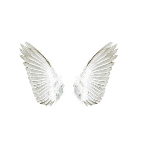 Angel Download - White angel wings png download - 591*591 - Free ...