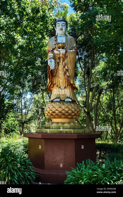 Statue Of Buddha At The Fo Guang Nan Tien Temple Wollongong Australia