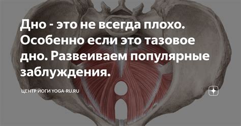 Дно - это не всегда плохо. Особенно если это тазовое дно. Развеиваем ...