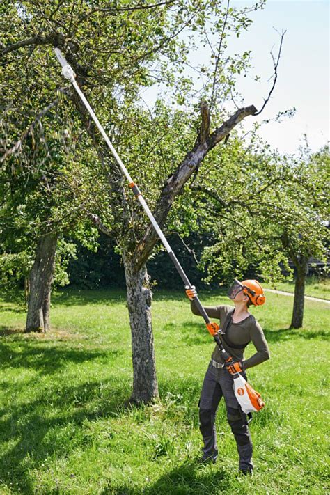 STIHL Akku Hochentaster HTA 135 AP System LA012000002 886661563951