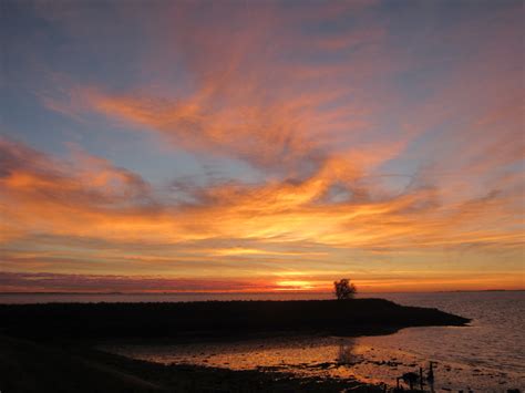 Kats Door Geeske Harkema Kats Voordat De Zon Opkwam Was K Flickr