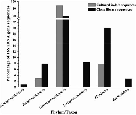 Figure From Phylogenetic Characterization Of Bacteria In The Gut Of