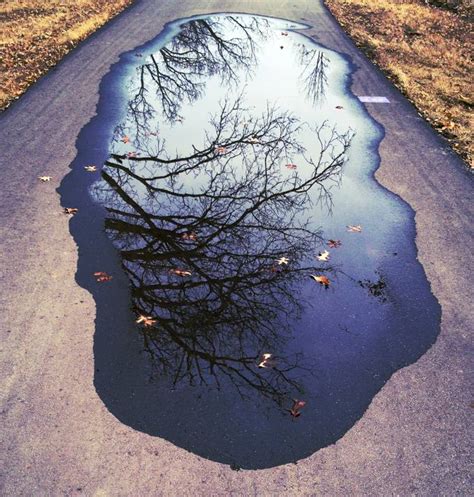 Reflection Photography Puddle