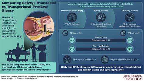 Complications Following Transrectal And Transperineal Prostate Biopsy Results Of The Probe Pc