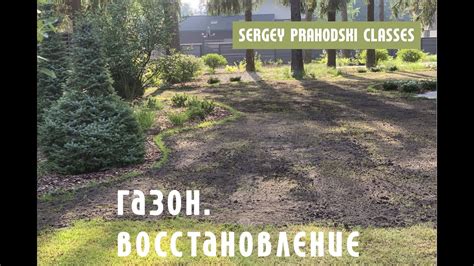 Восстановление газона. Классическая технология - YouTube