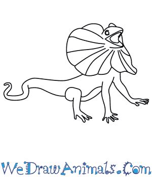 How to Draw a Frilled Lizard