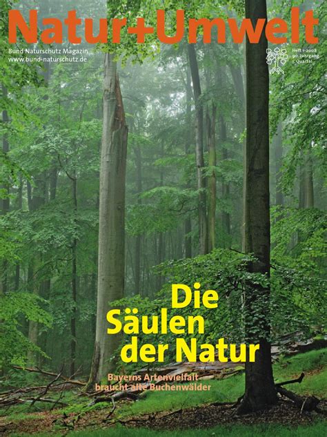 Natur Umwelt By Bund Naturschutz In Bayern E V Issuu