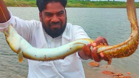 Big Eel Fish Catching Tamboo Fishing Village Fishing Blog Fishing