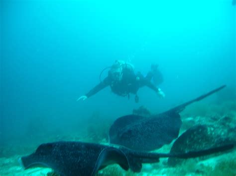 Diving Get Travel Galapagos Agency Tours Galapagos Islands