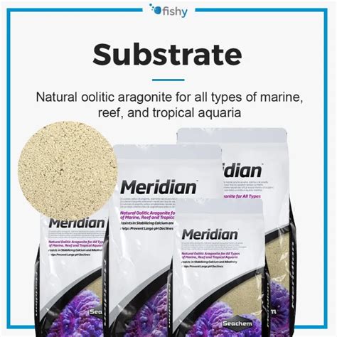 Manila Stock Seachem Meridian (Aragonite) - Aquarium Reef Sand ...