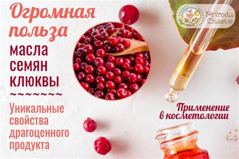 Масло клюквы – эликсир красоты мгновенного действия