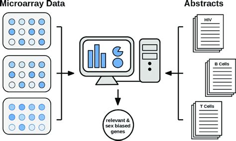 Identification Of Sex Biased Genes Using Gene Expression Data And