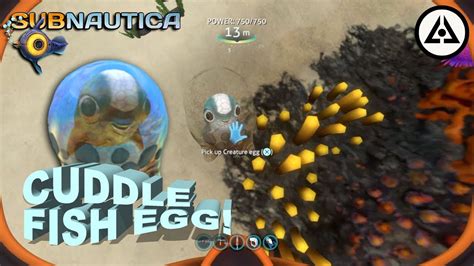 Subnautica Cuddle Fish Egg Youtube