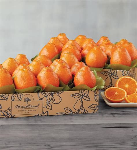 Cushman's® Florida HoneyBells - Two Trays | Fruit gifts, Honeybell ...