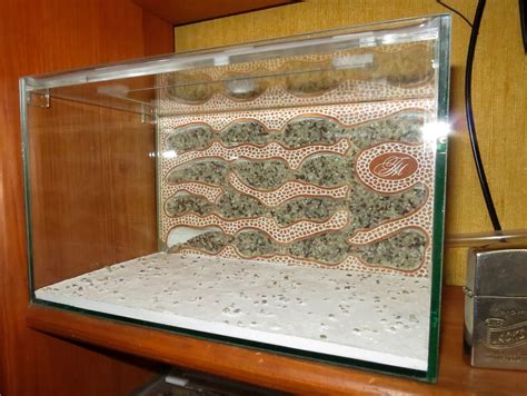 Продам формикарий. | Клуб Любителей Муравьев