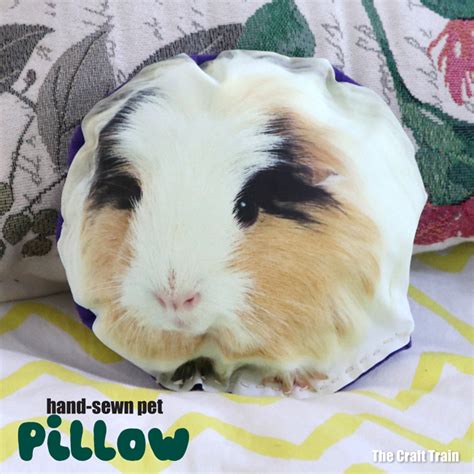 DIY pet pillow - The Craft Train