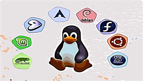 Mejores Distribuciones De Linux Para En Infoteknico