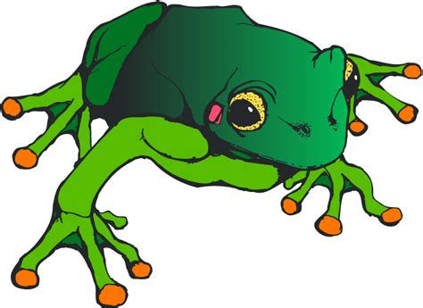 Images Of Frogs Cliparts Co