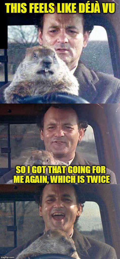 Bill Murray Groundhog Day Meme