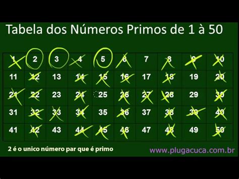 Quais São Os Números Primos De 1 A 100 Saiba Como Encontrá Los😶