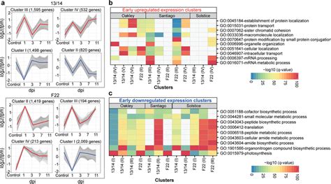 Co Expression Clusters For The Wheat Genes Upregulated Or Downregulated