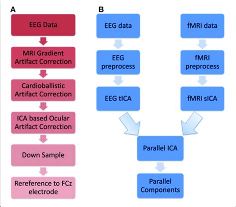 Schematics Illustrating A Eeg Preprocessing Steps Before Performing